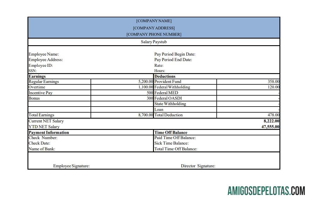 Premium salary pay stub templat, versi 2