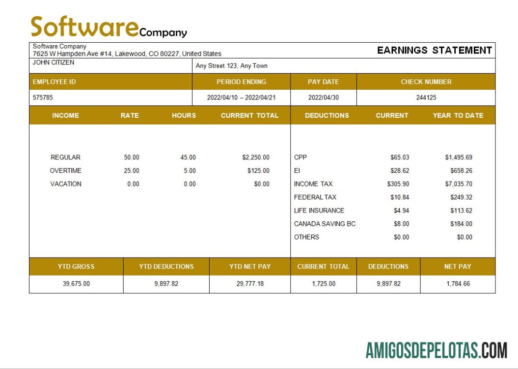 Premium Perangkat Lunak Perusahaan paystub templat in Word and PDF format