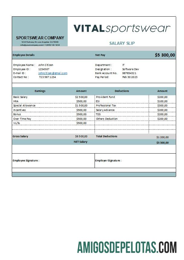 Realistis sportswear Perusahaan earning laporan templat in Excel and PDF format