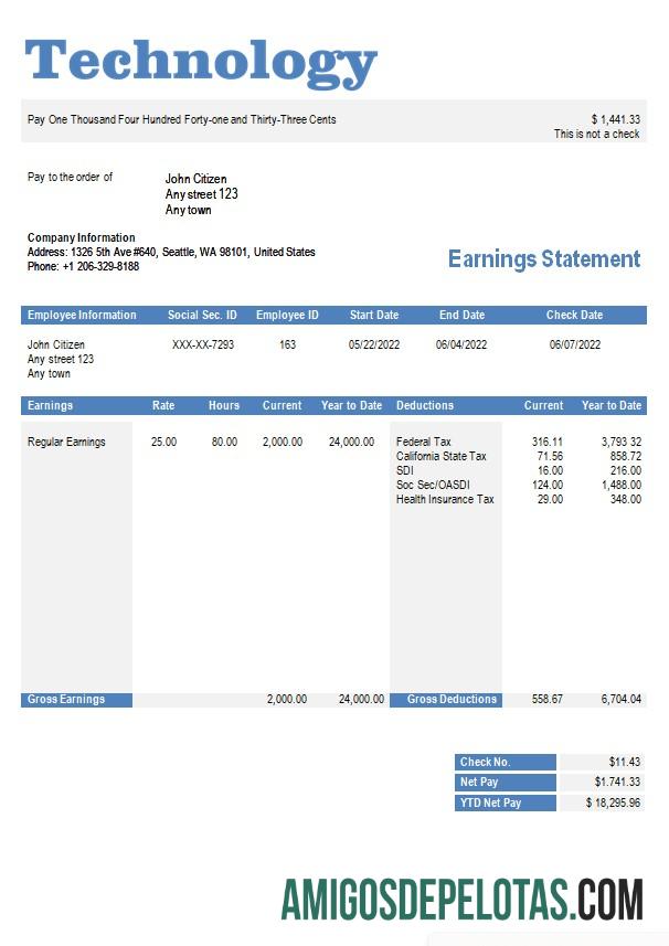 Realistis Teknologi Perusahaan paystub templat in Word and PDF format