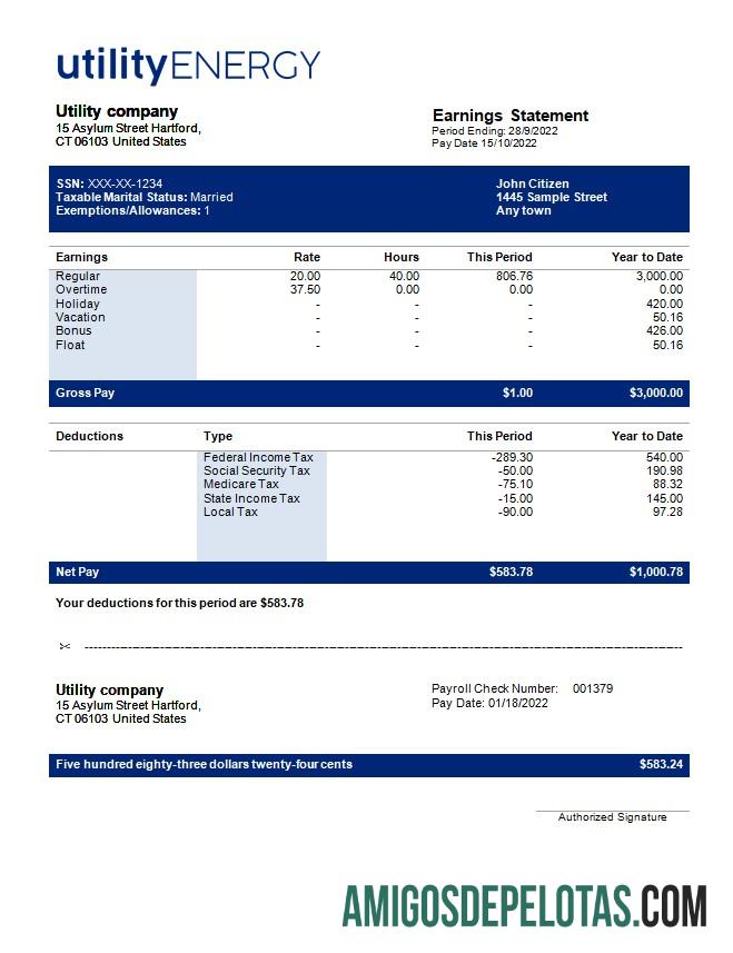 Profesional Tagihan Perusahaan payslip templat in Word and PDF format.