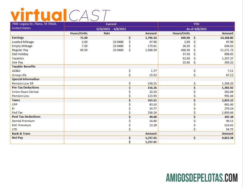 Realistis Video conferencing Perusahaan payroll templat in Word and PDF format