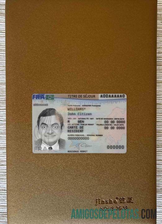 Prancis Baru tempat tinggal kartu 2019 sekarang tampilan foto depan makering