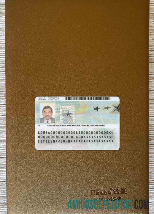 AS hijau kartu, permanent penduduk kartu 2020 ΓÇô sekarang tampilan foto templat
