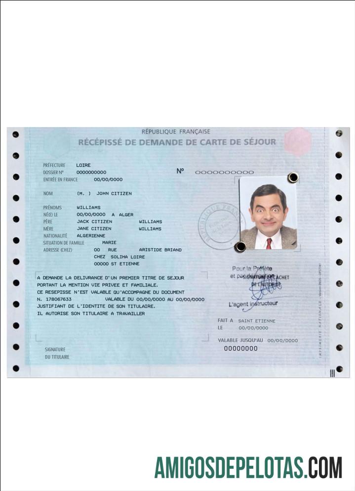French tempat tinggal izin (carte de se╠üjour) sampel