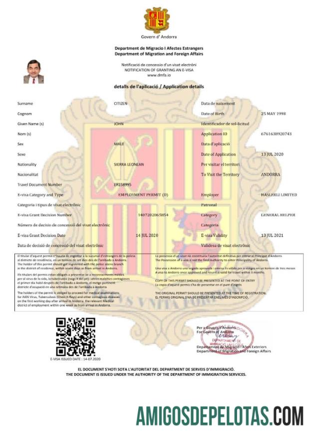 پیشہ ورانہ انڈورا e ویزا in Word and PDF ٹیمپلیٹ