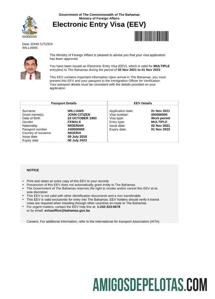حقیقت پسندانہ بہاماس e ویزا in Word and PDF ٹیمپلیٹ