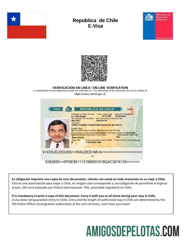 پریمیئم چلی e ویزا ٹیمپلیٹ in Word and PDF فارمیٹ