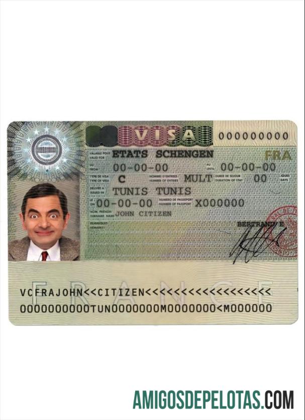 فرانس Schengen ویزا ماک اپ