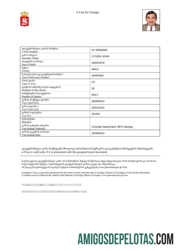 حقیقت پسندانہ جارجیا e ویزا in Word and PDF ٹیمپلیٹ