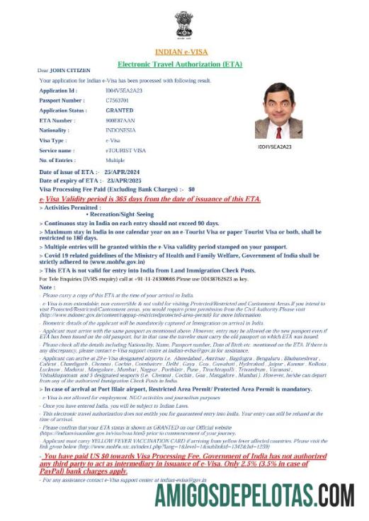 اعلیٰ معیار بھارت e ویزا ٹیمپلیٹ in Word and PDF فارمیٹ, ورژن 4