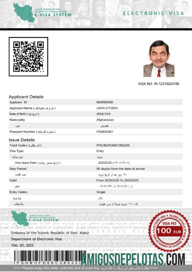 پیشہ ورانہ ایران e ویزا ٹیمپلیٹ in Word and PDF فارمیٹ