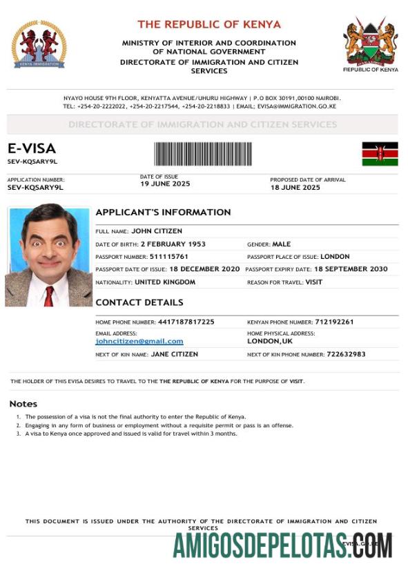 قابل ترمیم کینیا e ویزا ٹیمپلیٹ in Word and PDF فارمیٹ