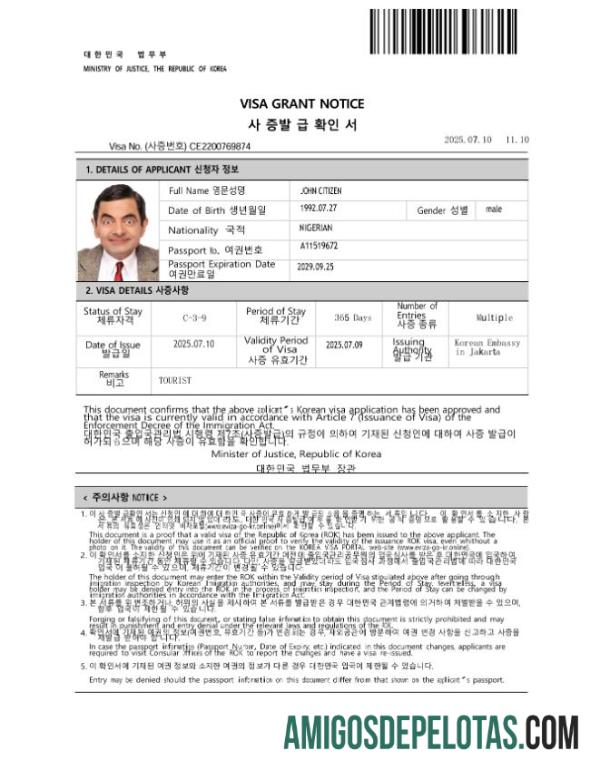 پیشہ ورانہ Korea e ویزا ٹیمپلیٹ in Word and PDF فارمیٹ