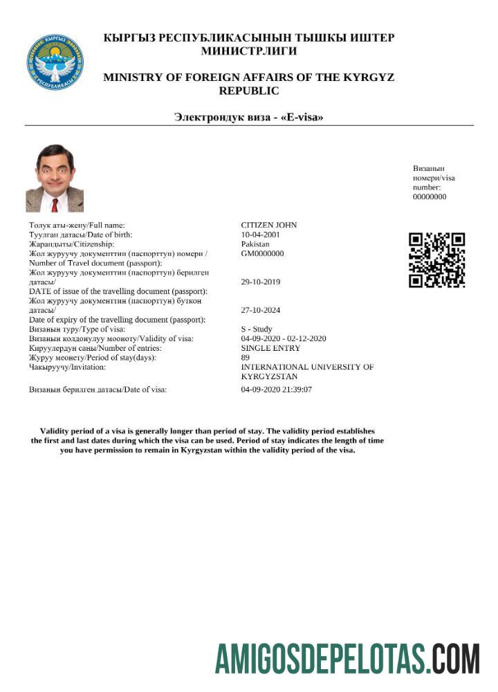قابل ترمیم کرغیزستان e ویزا Word and PDF ٹیمپلیٹ