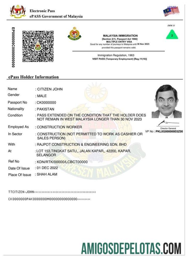ملائیشیا e pass داخلہ ویزا نمونہ