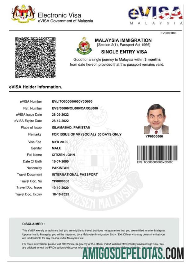 ملائیشیا e ویزا ٹیمپلیٹ