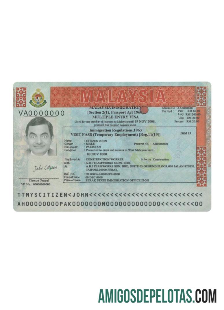 ملائیشیا متعدد داخلہ ویزا ورژن 2 ماک اپ