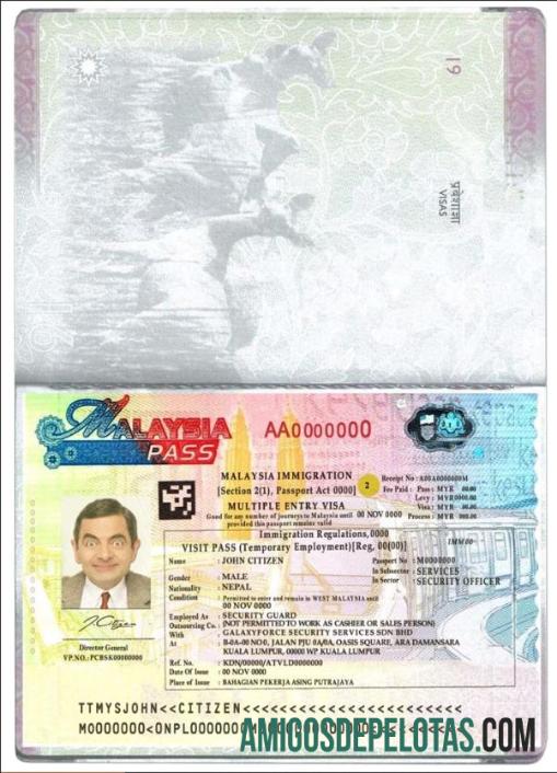 ملائیشیا متعدد داخلہ ویزا ٹیمپلیٹ