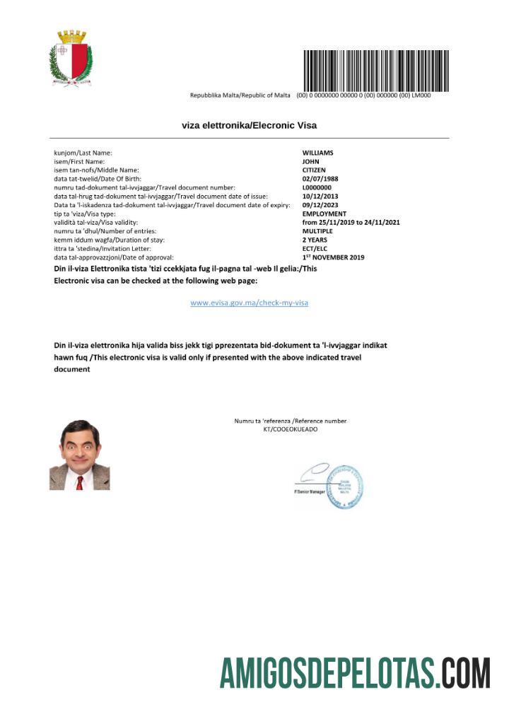 حقیقت پسندانہ مالٹا e ویزا in Word and PDF ٹیمپلیٹ