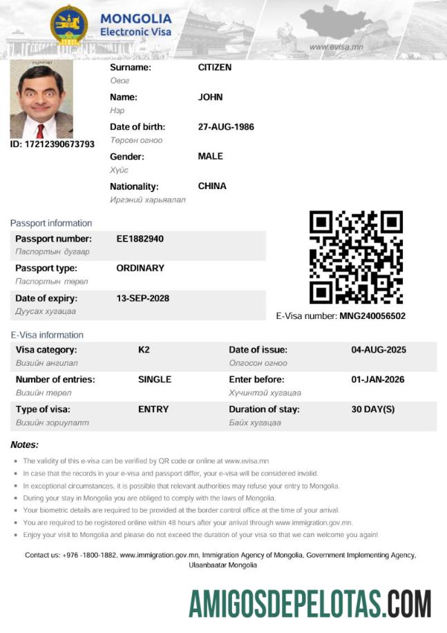 حقیقت پسندانہ منگولیا electronic ویزا ٹیمپلیٹ in Word and PDF فارمیٹ