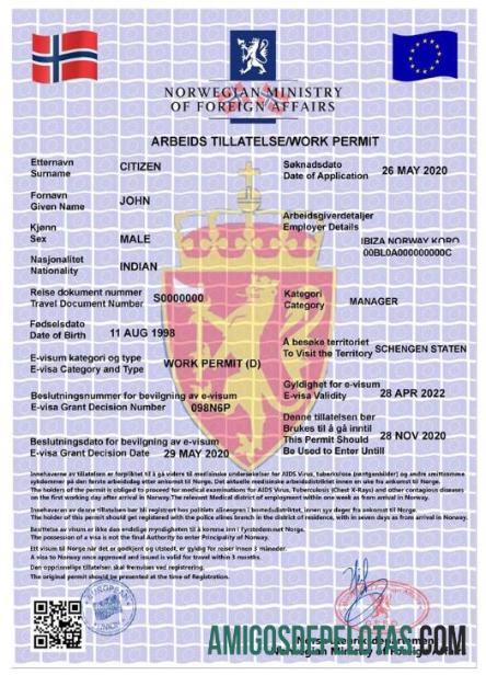 ناروے کام اجازت, e ویزا نمونہ
