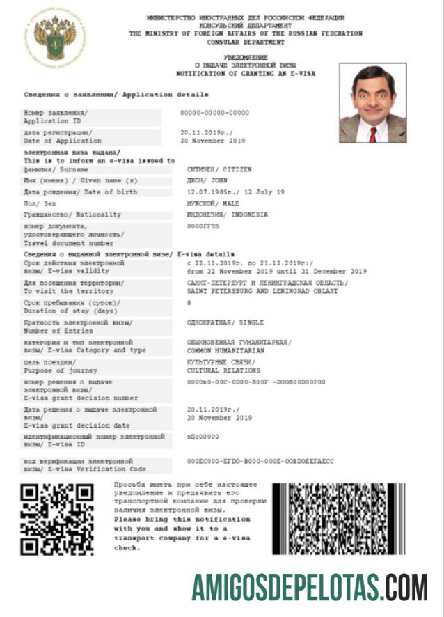 پریمیئم روس e ویزا in Word and PDF ٹیمپلیٹ
