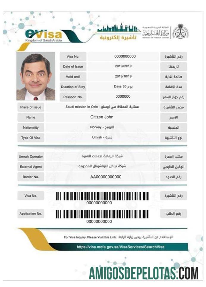 سعودی عرب e ویزا نمونہ