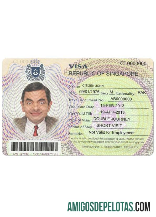 سنگاپور ویزا پیش نظارہ