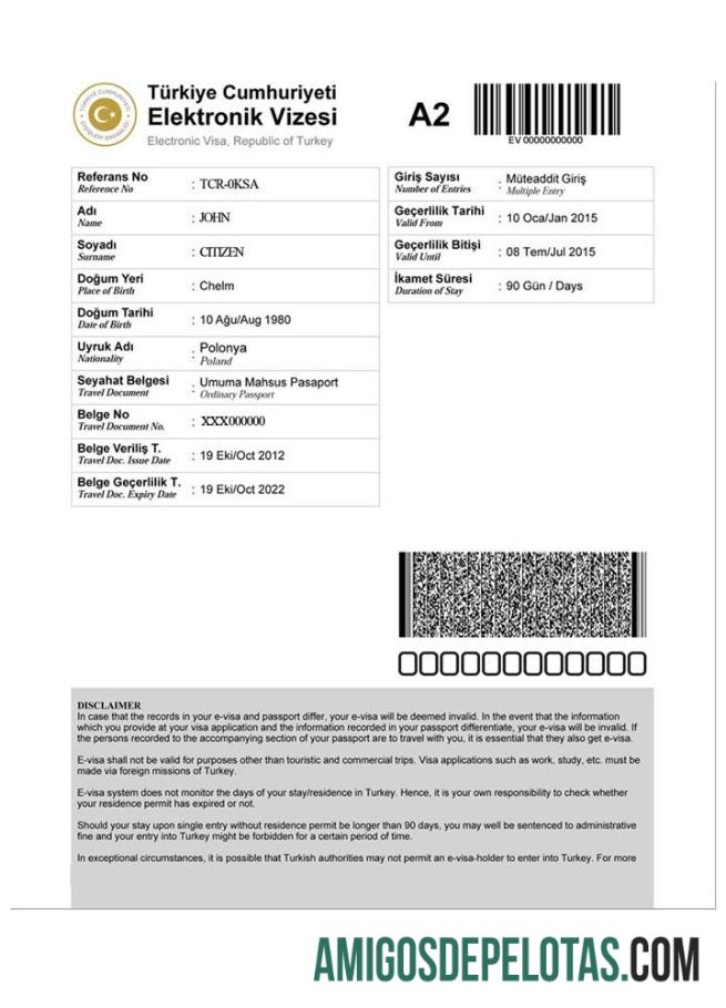 ترکی e ویزا نمونہ