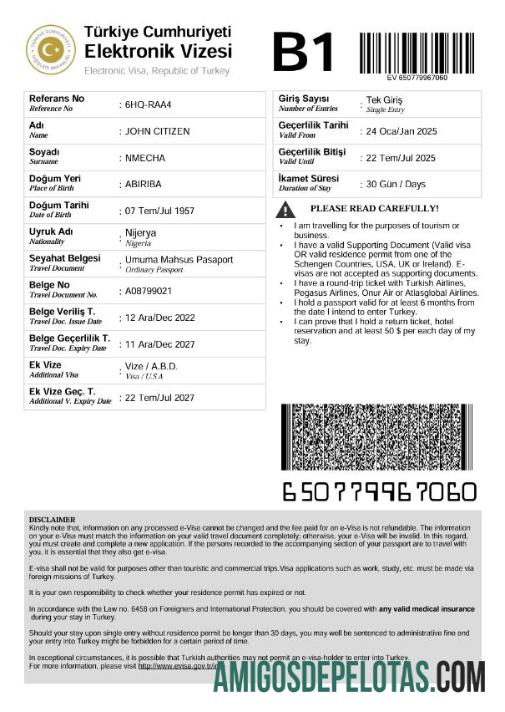 حقیقت پسندانہ ترکی e ویزا ٹیمپلیٹ in Word and PDF فارمیٹ