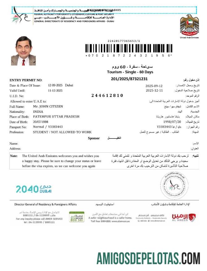حقیقت پسندانہ متحدہ عرب امارات e ویزا ٹیمپلیٹ in Word and PDF فارمیٹ, ورژن 3