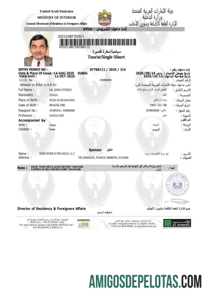 پیشہ ورانہ متحدہ عرب امارات e ویزا ٹیمپلیٹ in Word and PDF فارمیٹ, ورژن 9