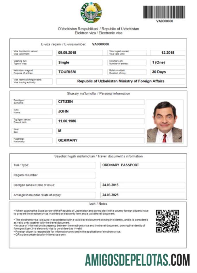 پیشہ ورانہ ازبکستان e ویزا in Word and PDF ٹیمپلیٹ