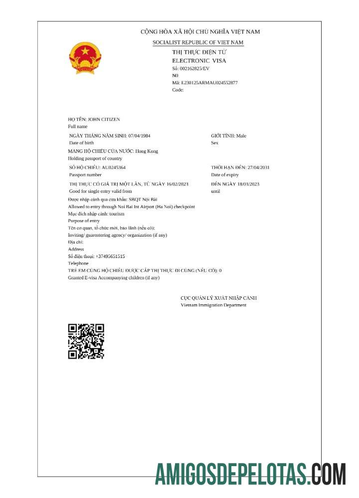 پیشہ ورانہ ویتنام e ویزا in Word and PDF ٹیمپلیٹ