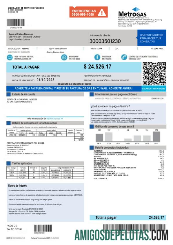 Realistis Argentina MetroGAS S.A. factura de Gas PSD templat