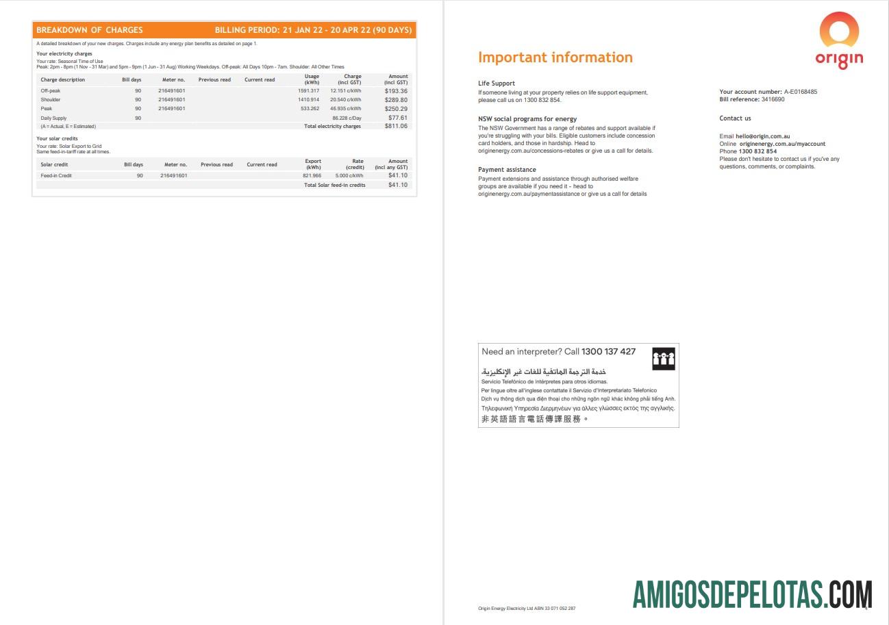 Berkualitas Australia Origin Tagihan Tagihan, Word and PDF templat, 4 pages 3 4