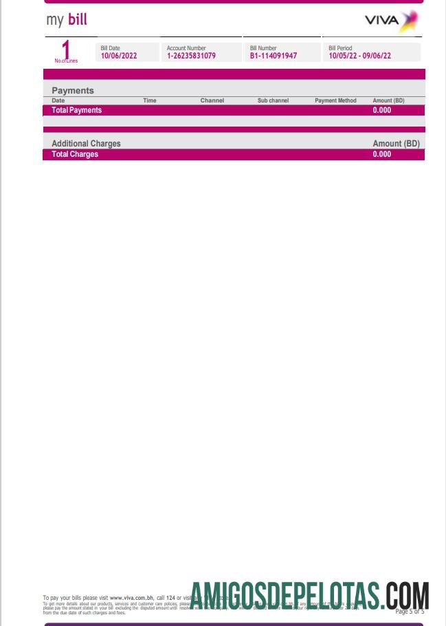 Premium Bahrain Viva my Tagihan Tagihan Word and PDF templat, 5 pages 5