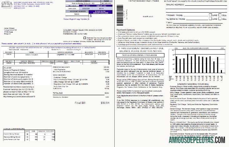 Premium Belgia Golden Valley Electric Association Tagihan Tagihan templat in Word and PDF format, 2 pages