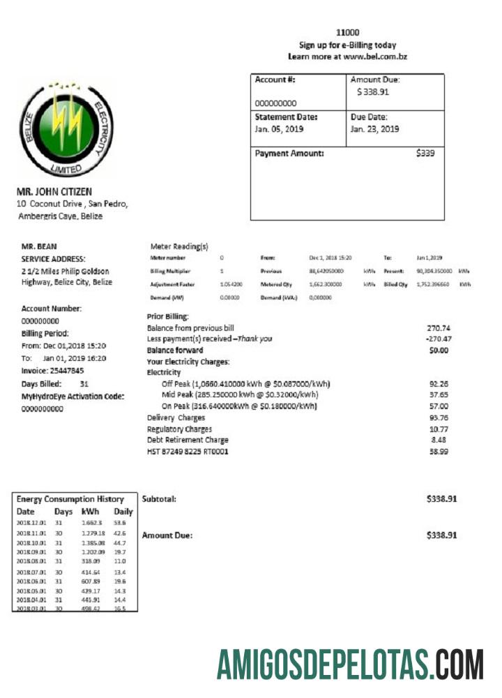Premium Belize Listrik Limited Listrik Tagihan Tagihan templat in Word and PDF format