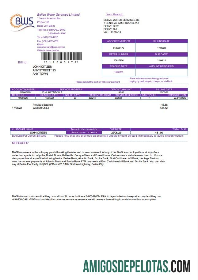 Berkualitas Belize Air Services Limited Tagihan Tagihan templat in Word and PDF format