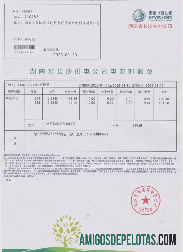 Berkualitas Tiongkok STATE POWER Kisi Tagihan Tagihan Word and PDF templat