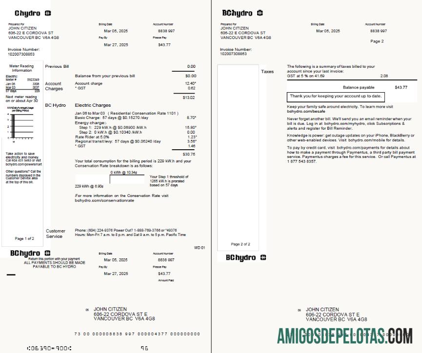 Profesional Kanada Chydro Tagihan Tagihan templat in Word and PDF formtas, 2 pages
