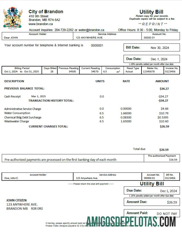 Berkualitas Kanada City of Brandon Tagihan Tagihan templat in Word and PDF format