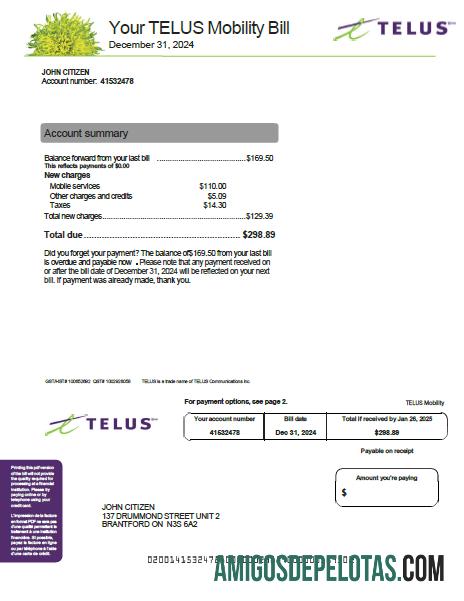 Berkualitas Kanada Telus Tagihan Tagihan templat in Word and PDF format, versi 2