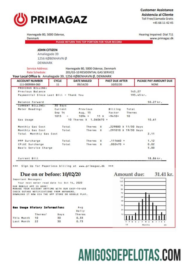 Berkualitas Denmark Primagaz Denmark Gas Tagihan Tagihan templat in Word and PDF format