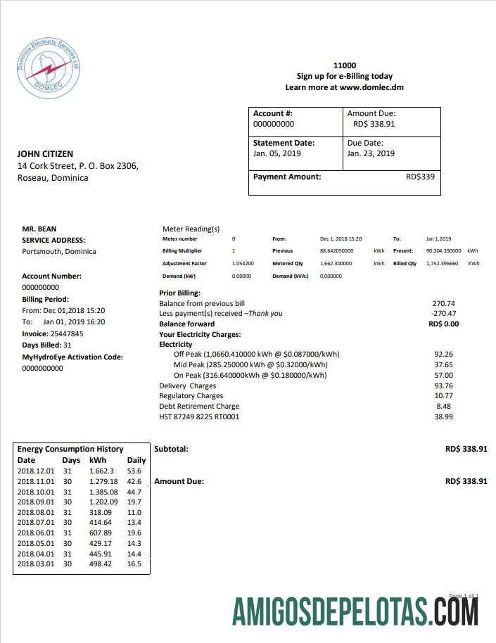 Premium Dominika Listrik Services Limited Listrik Tagihan Tagihan templat in Word and PDF format