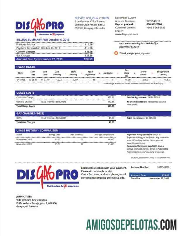 Profesional Ekuador Disgaspro Gas Tagihan Tagihan templat in Word and PDF format