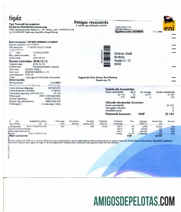 Realistis Hungaria TIGAZ Tagihan Tagihan Word and PDF templat
