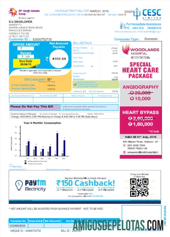 Berkualitas India CESC LIMITED Tagihan Tagihan Word and PDF templat